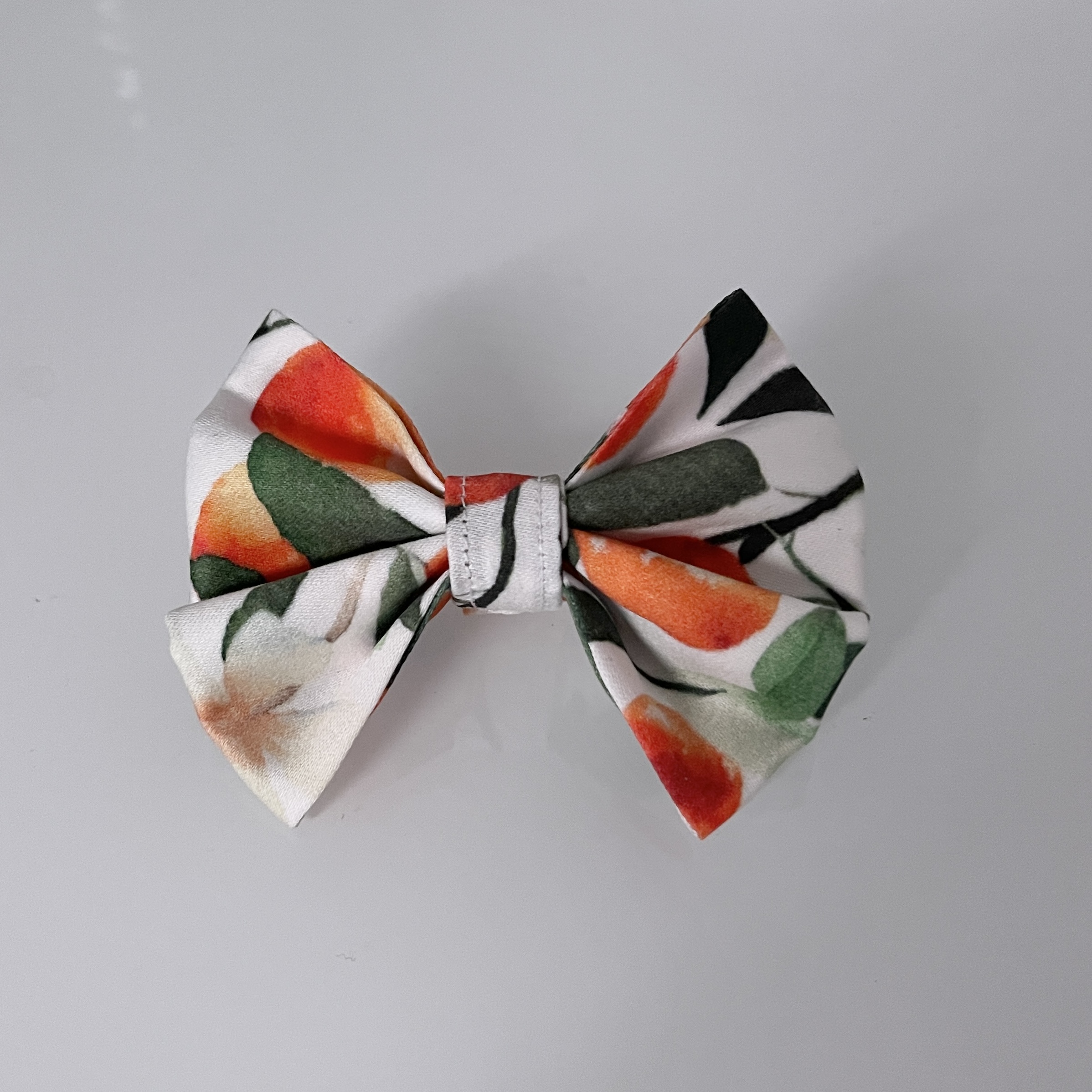 wild orange dream dog bowtie