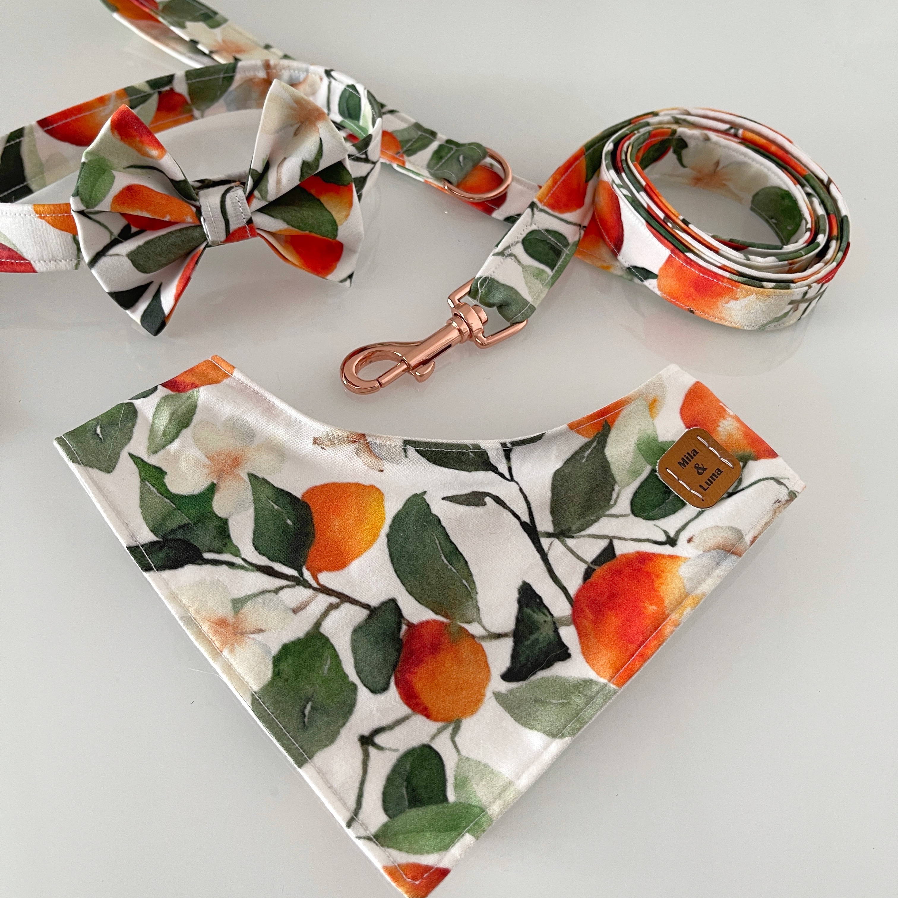 wild orange dog accessories set